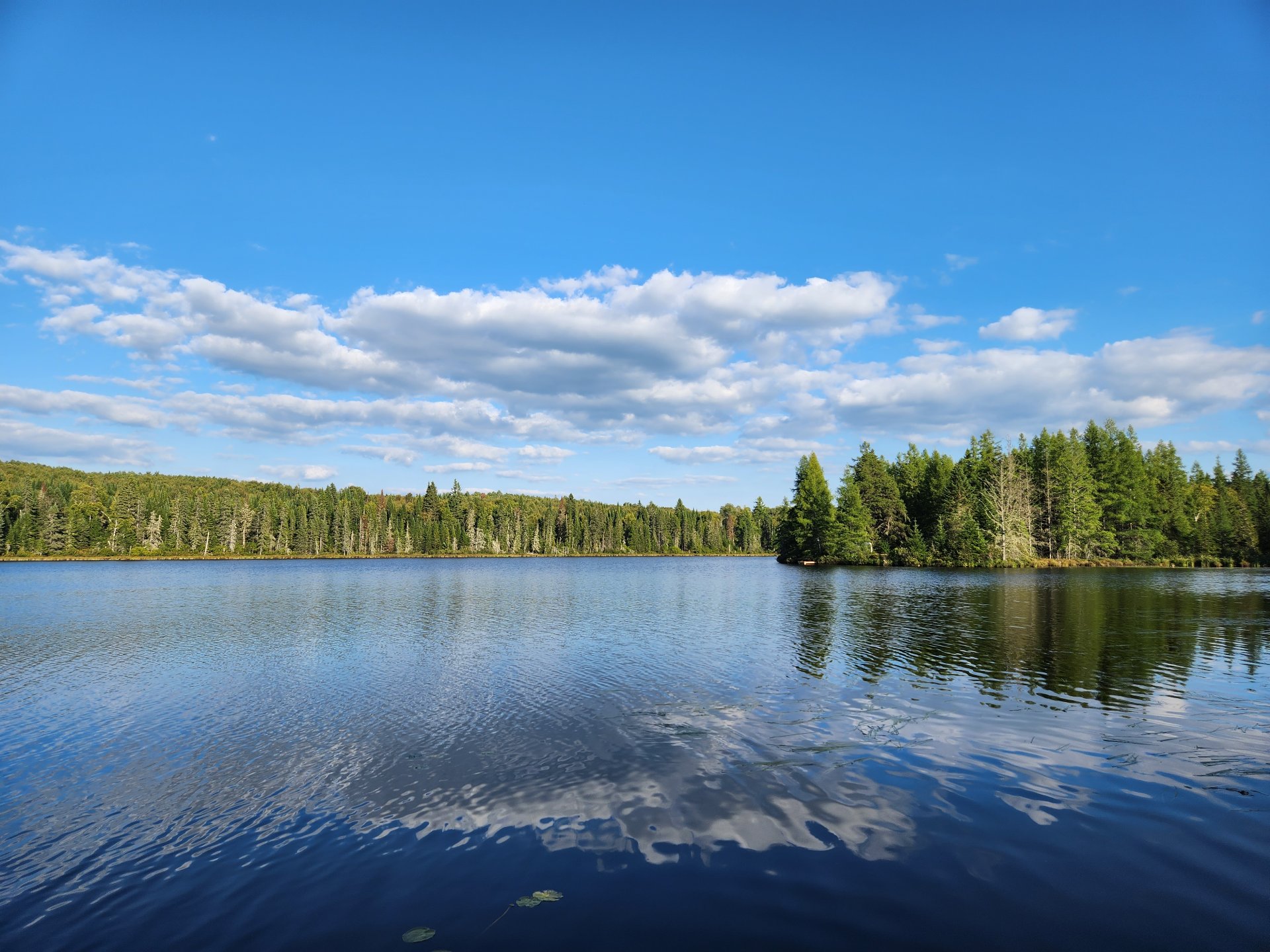 Photo fournie par le vendeur