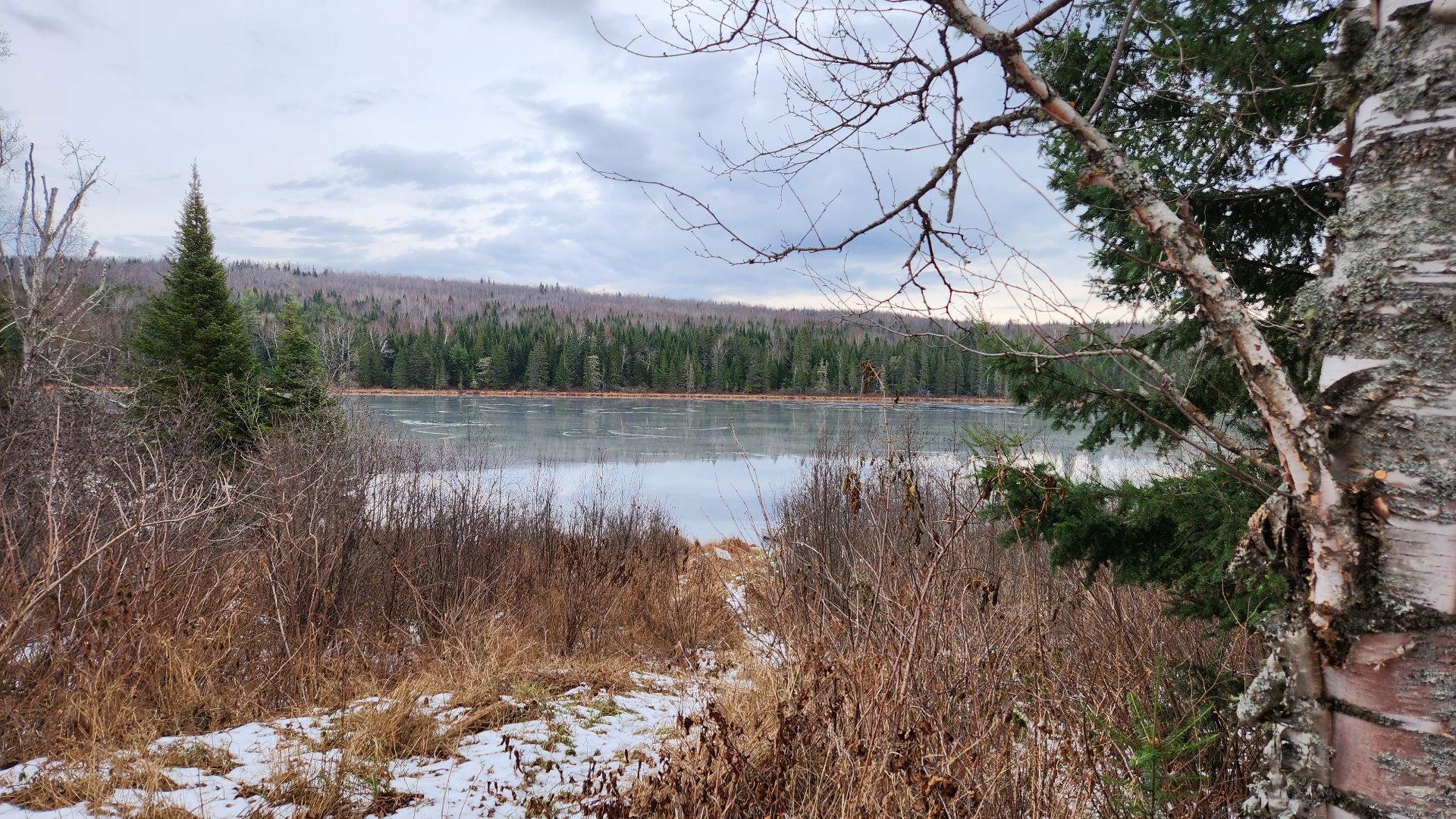 Photo fournie par le vendeur