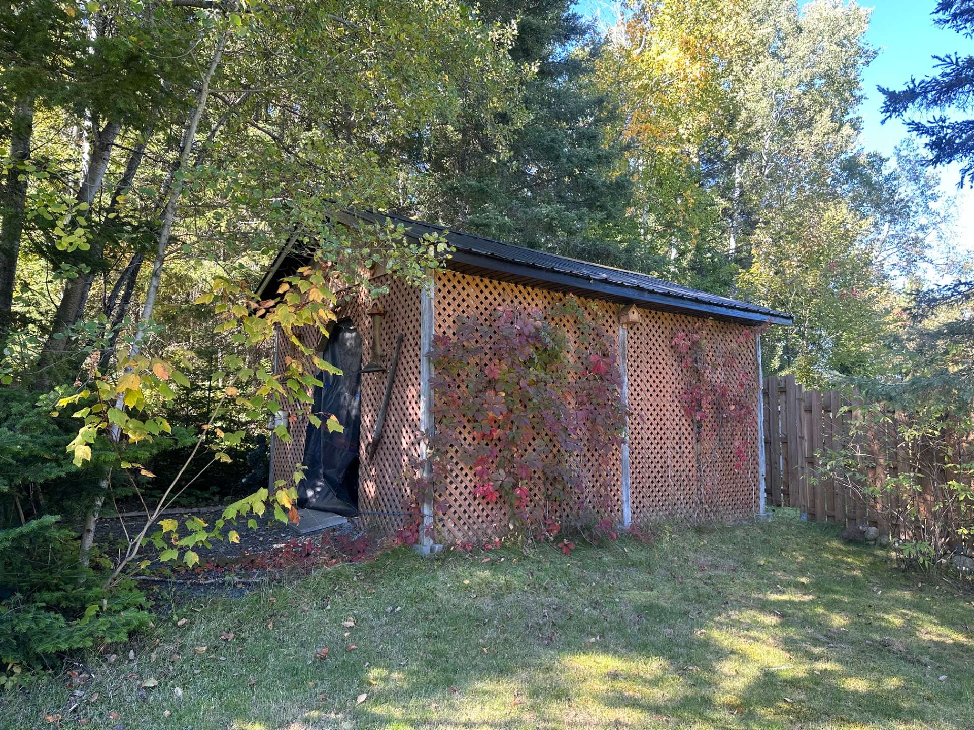 Shed