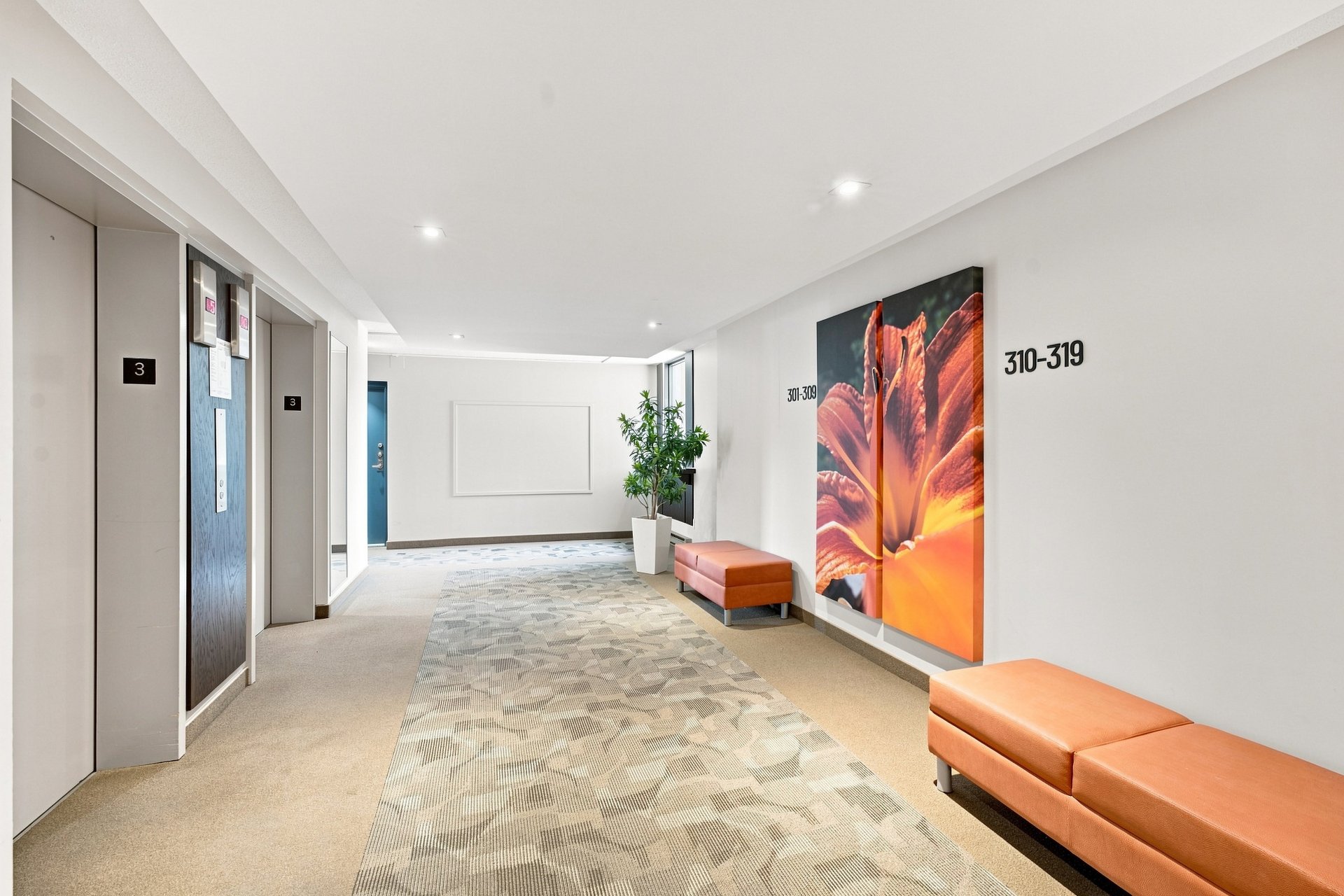 Hall d'entrée/Vestibule