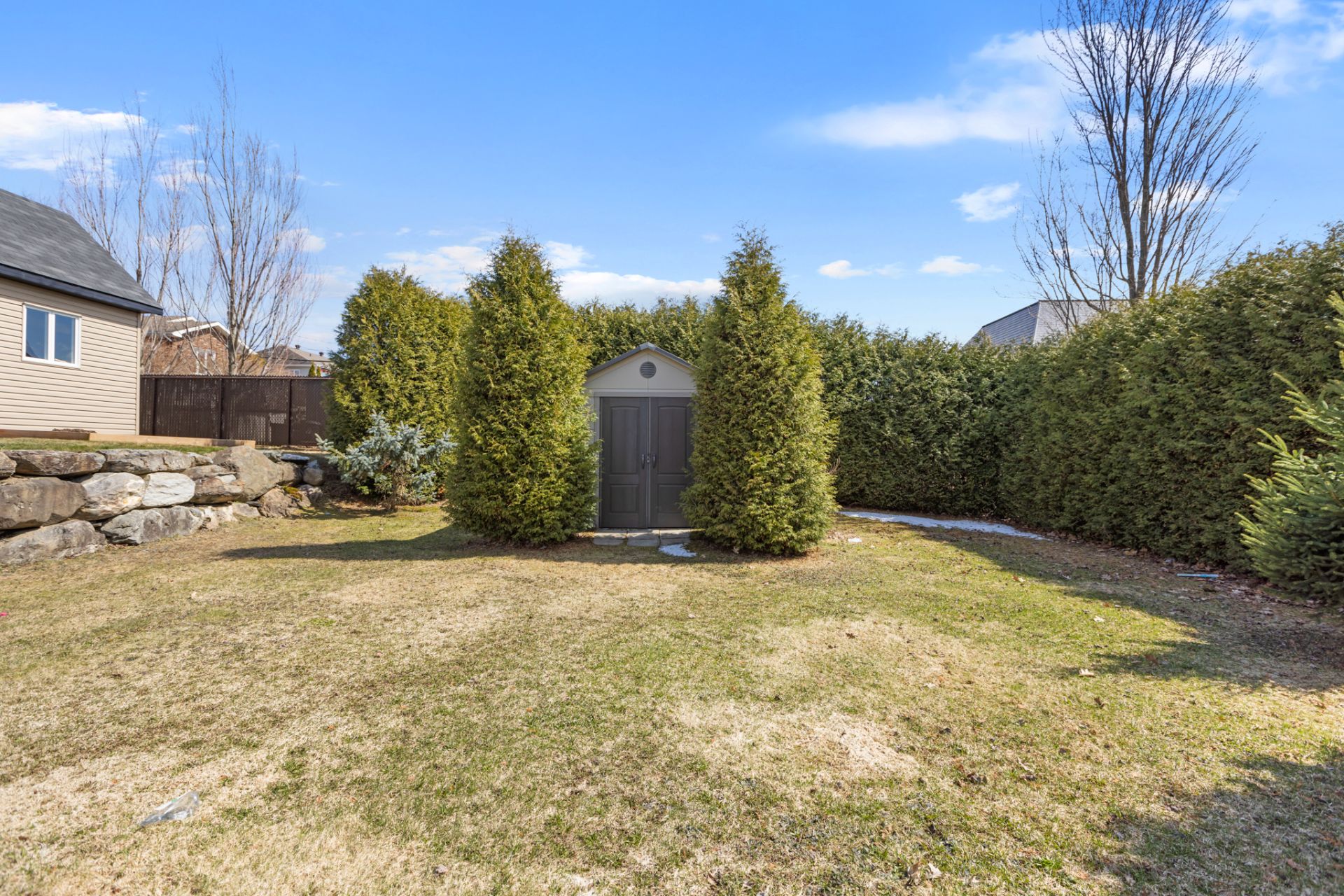 Backyard