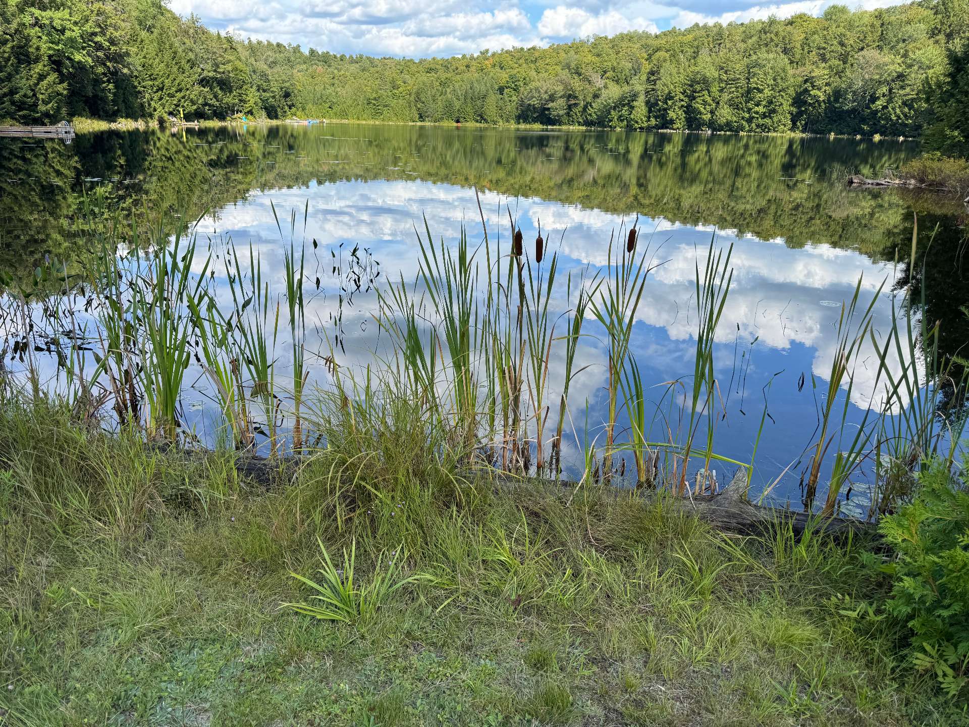 Accès au plan d'eau