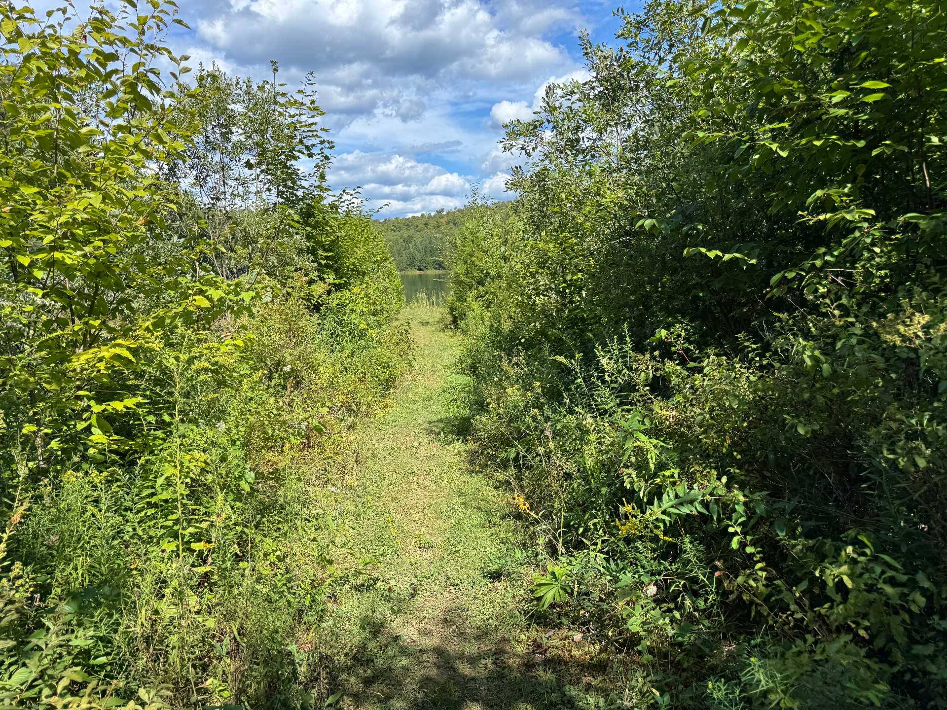Accès au plan d'eau