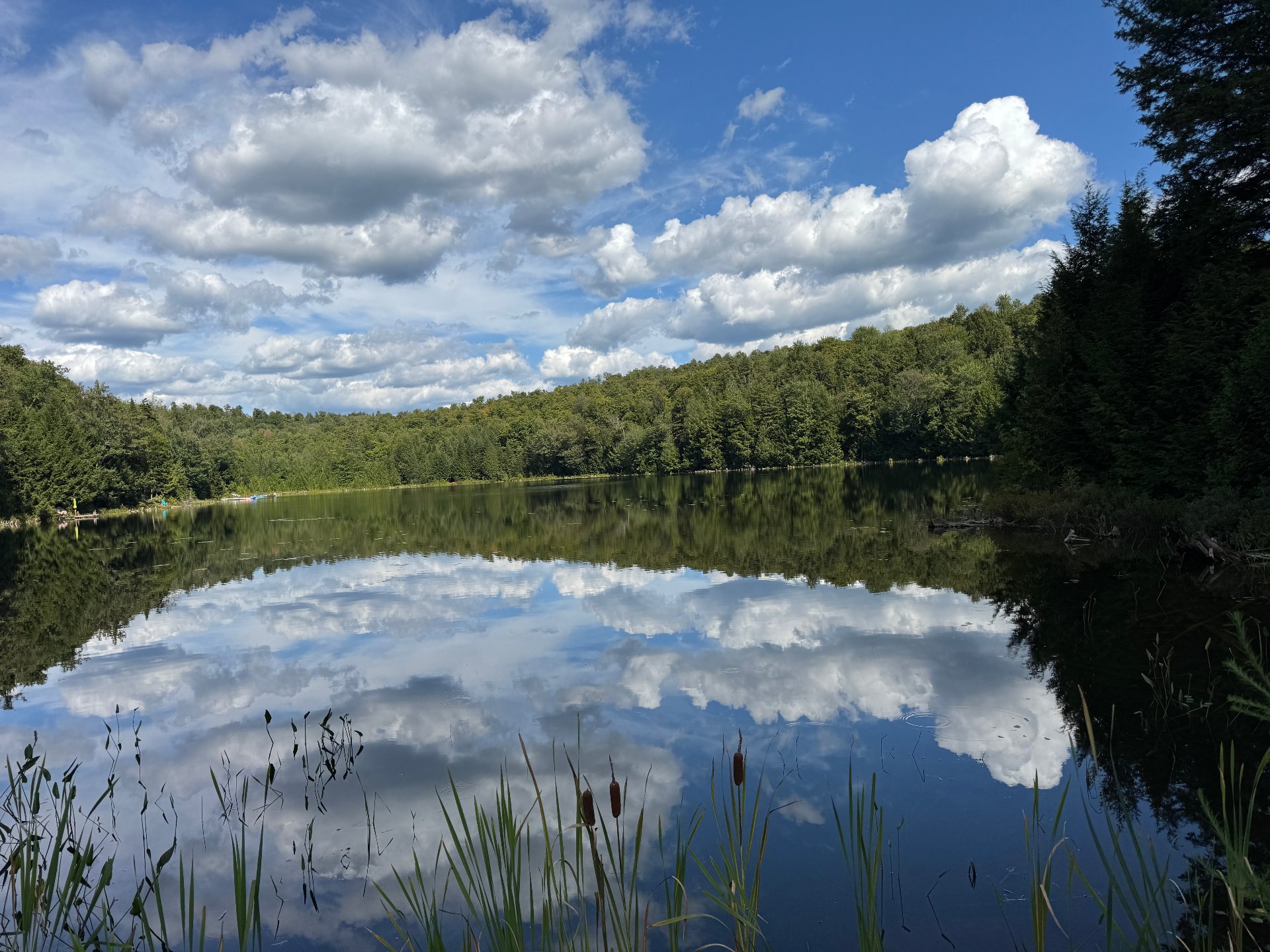 Accès au plan d'eau