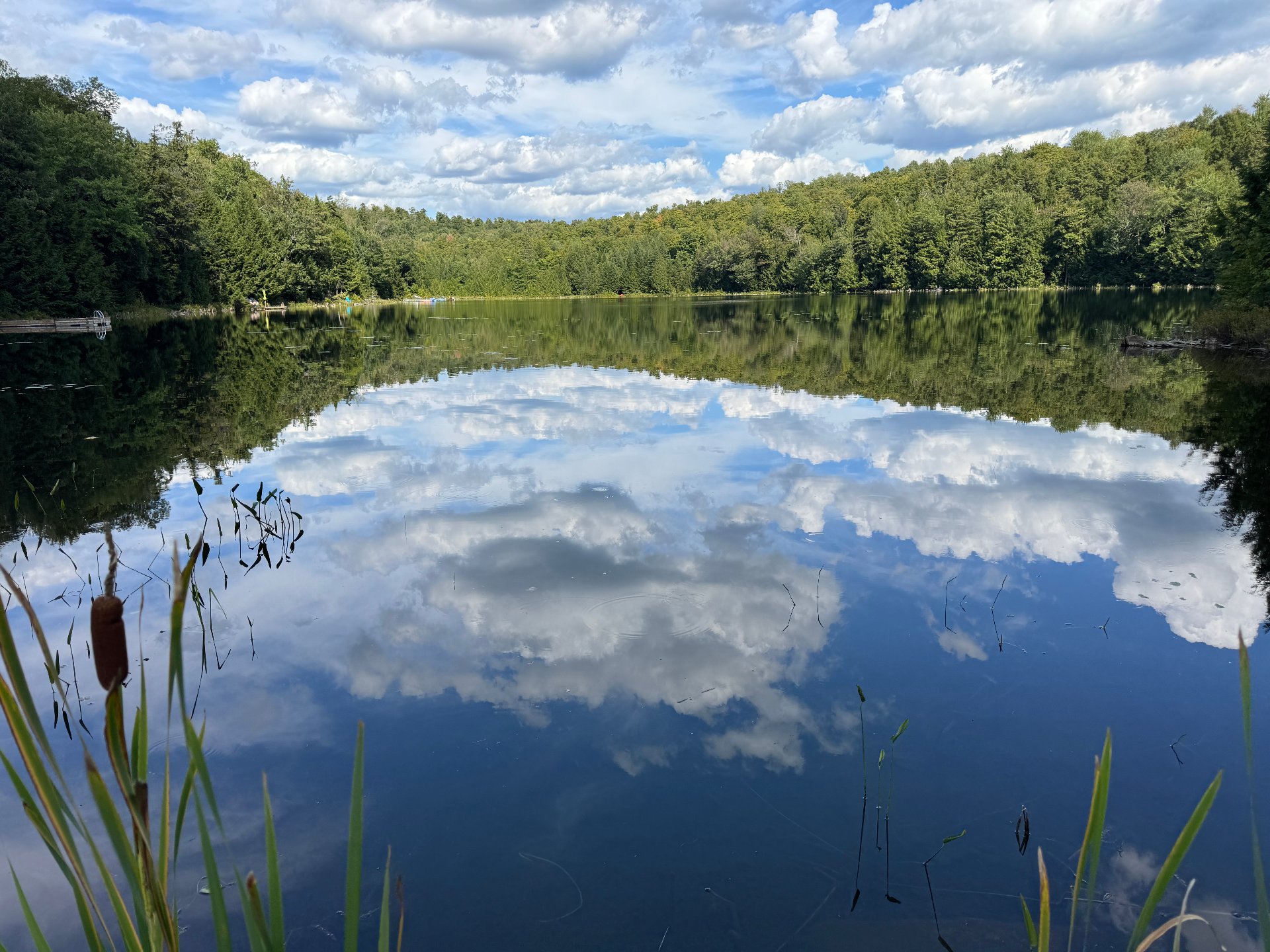 Accès au plan d'eau