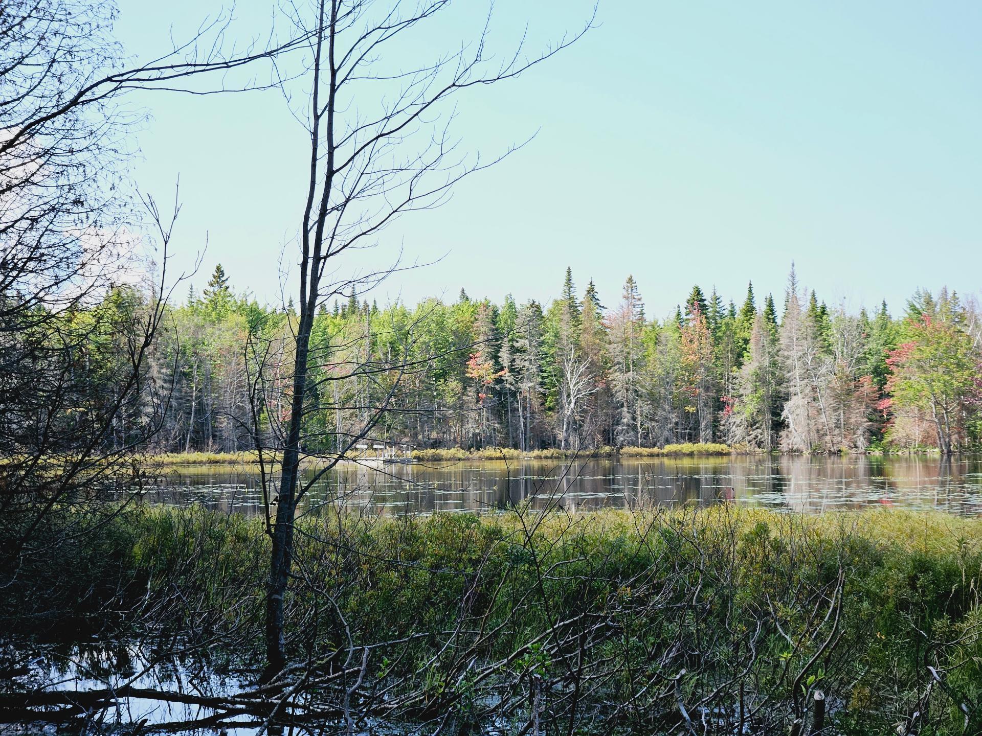 Access to a body of water