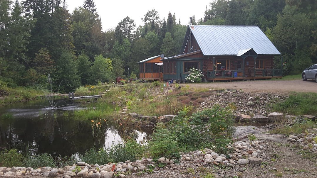 Overall View