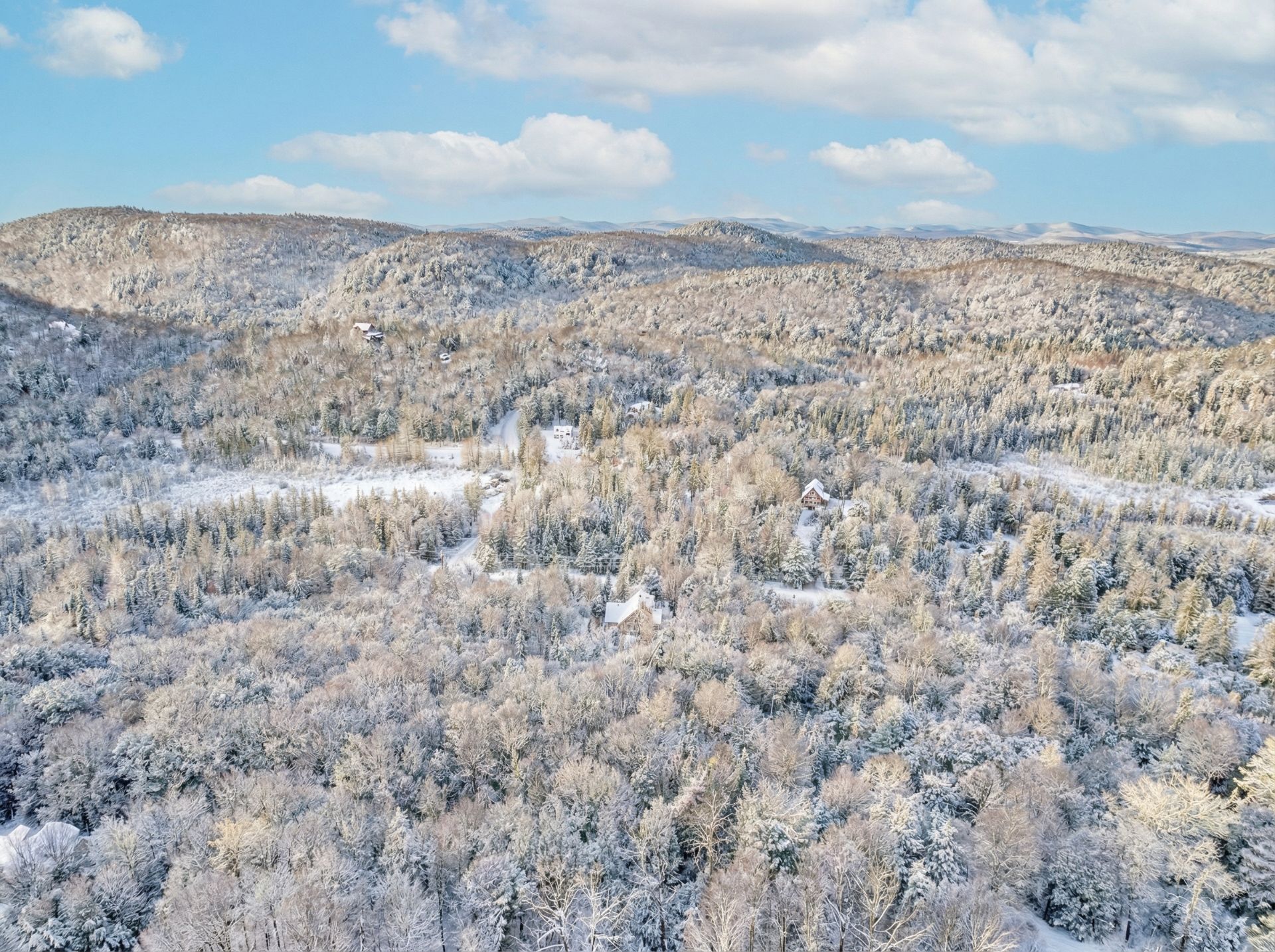 Aerial photo
