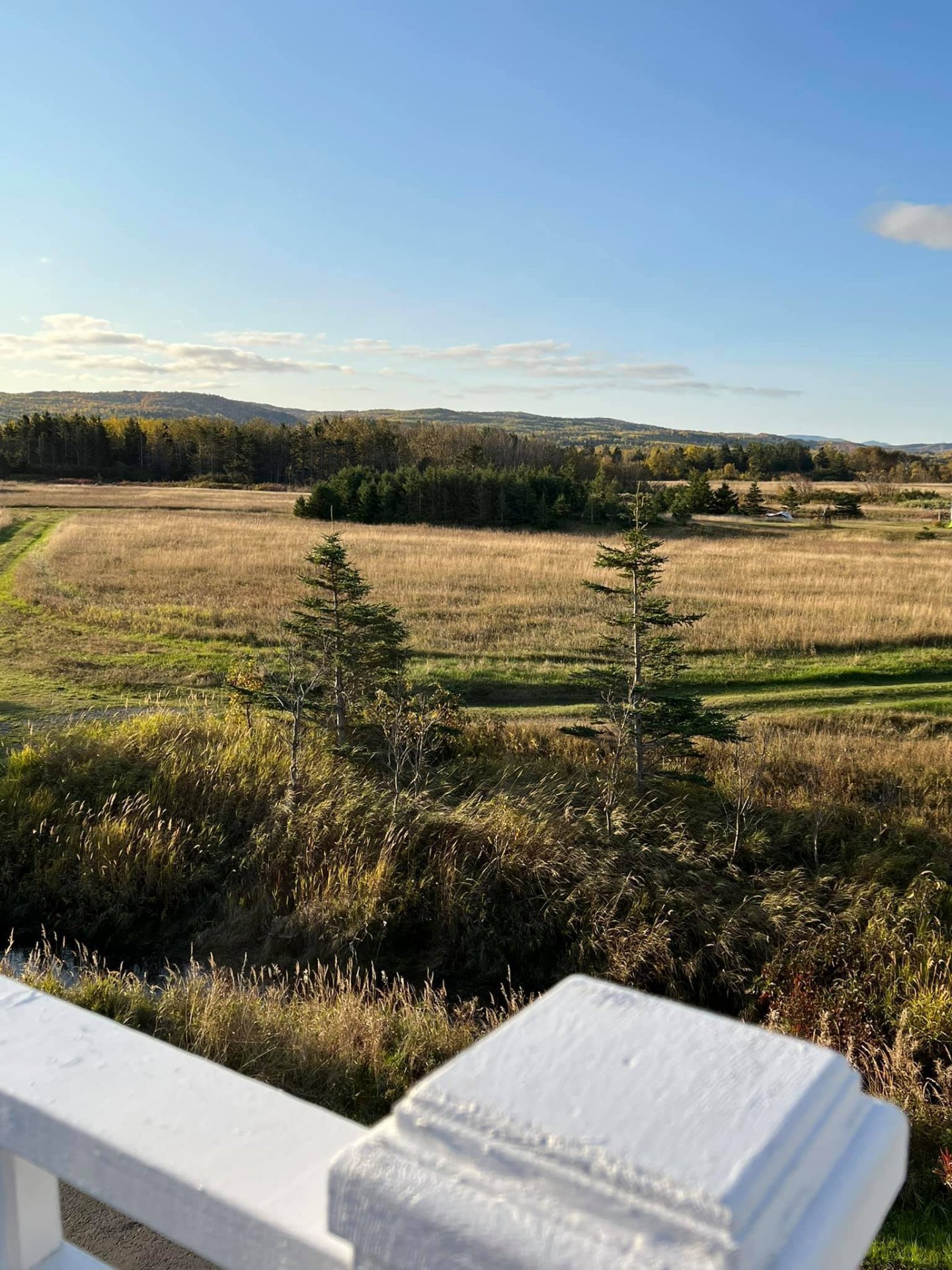 View