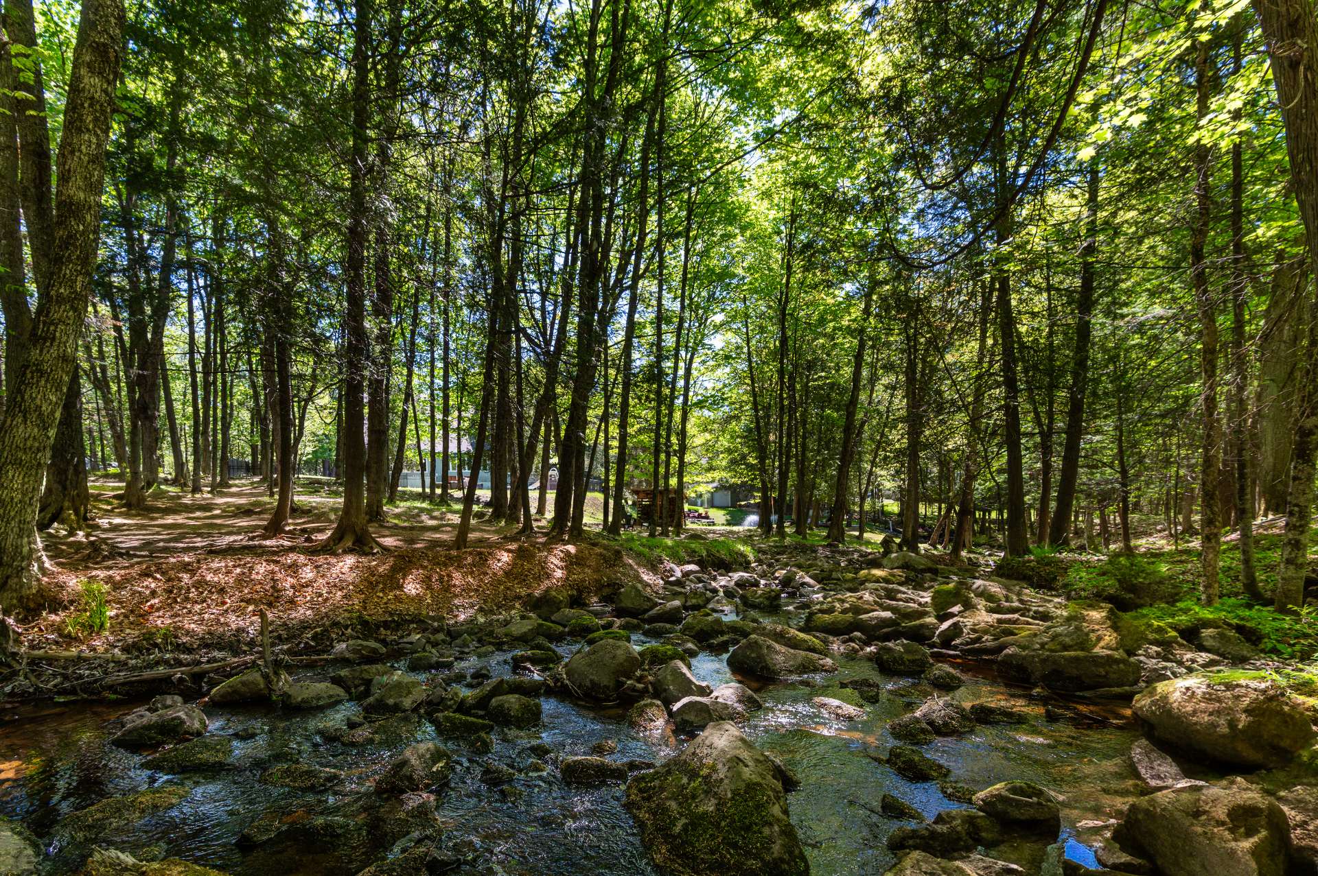 Wooded area