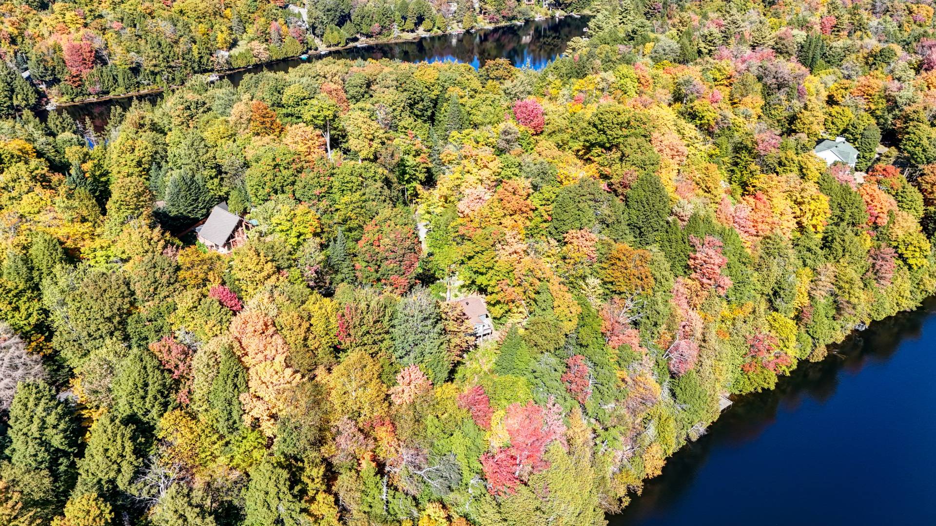 Aerial photo