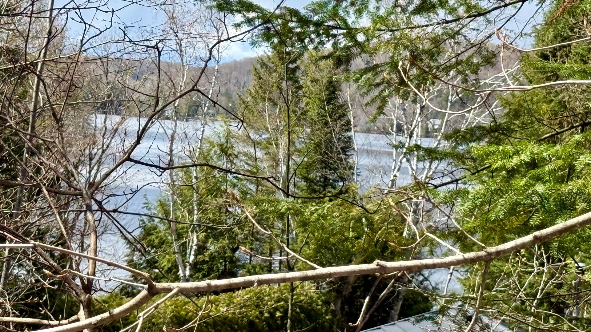 Vue sur l'eau