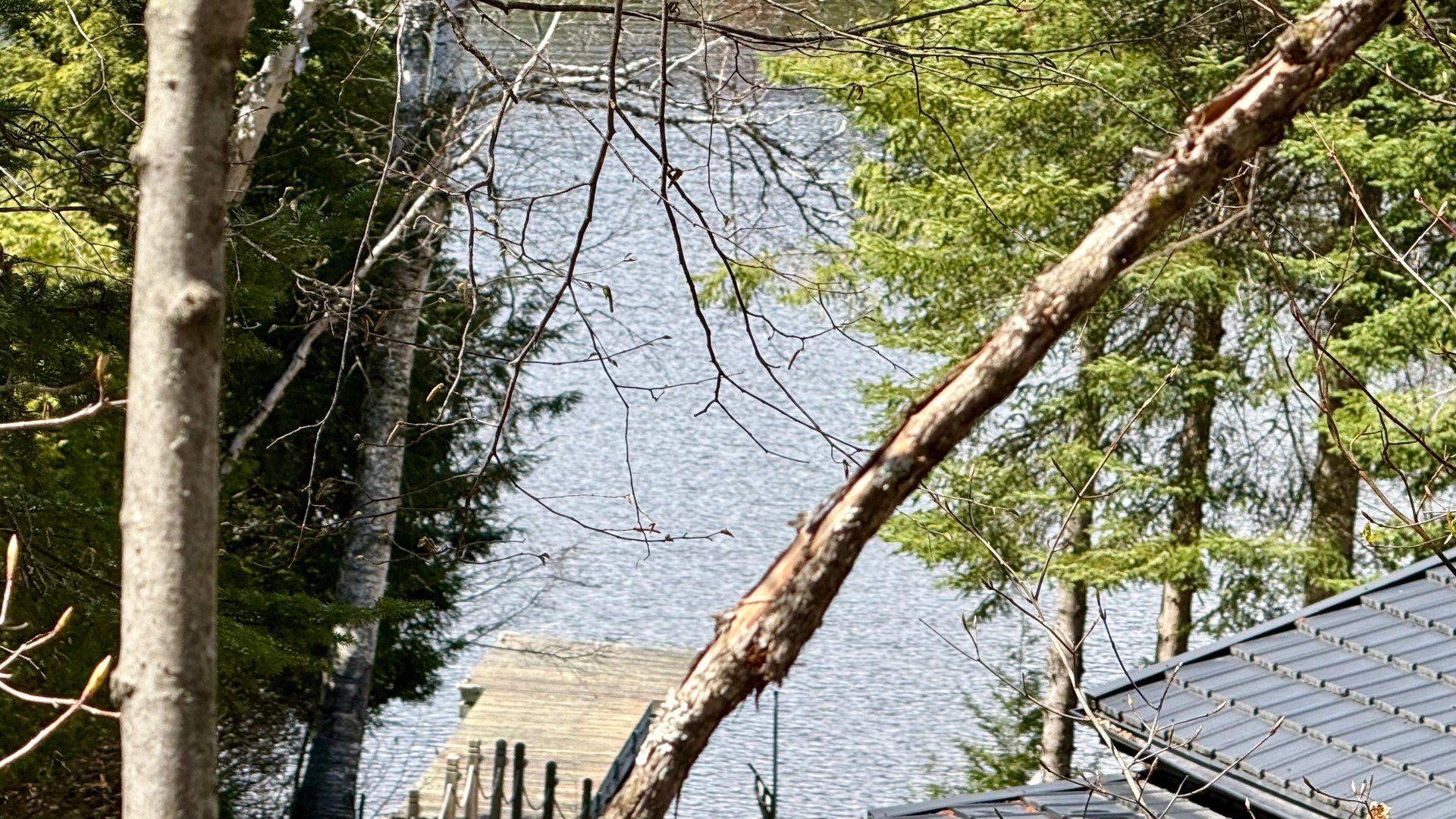 Vue sur l'eau