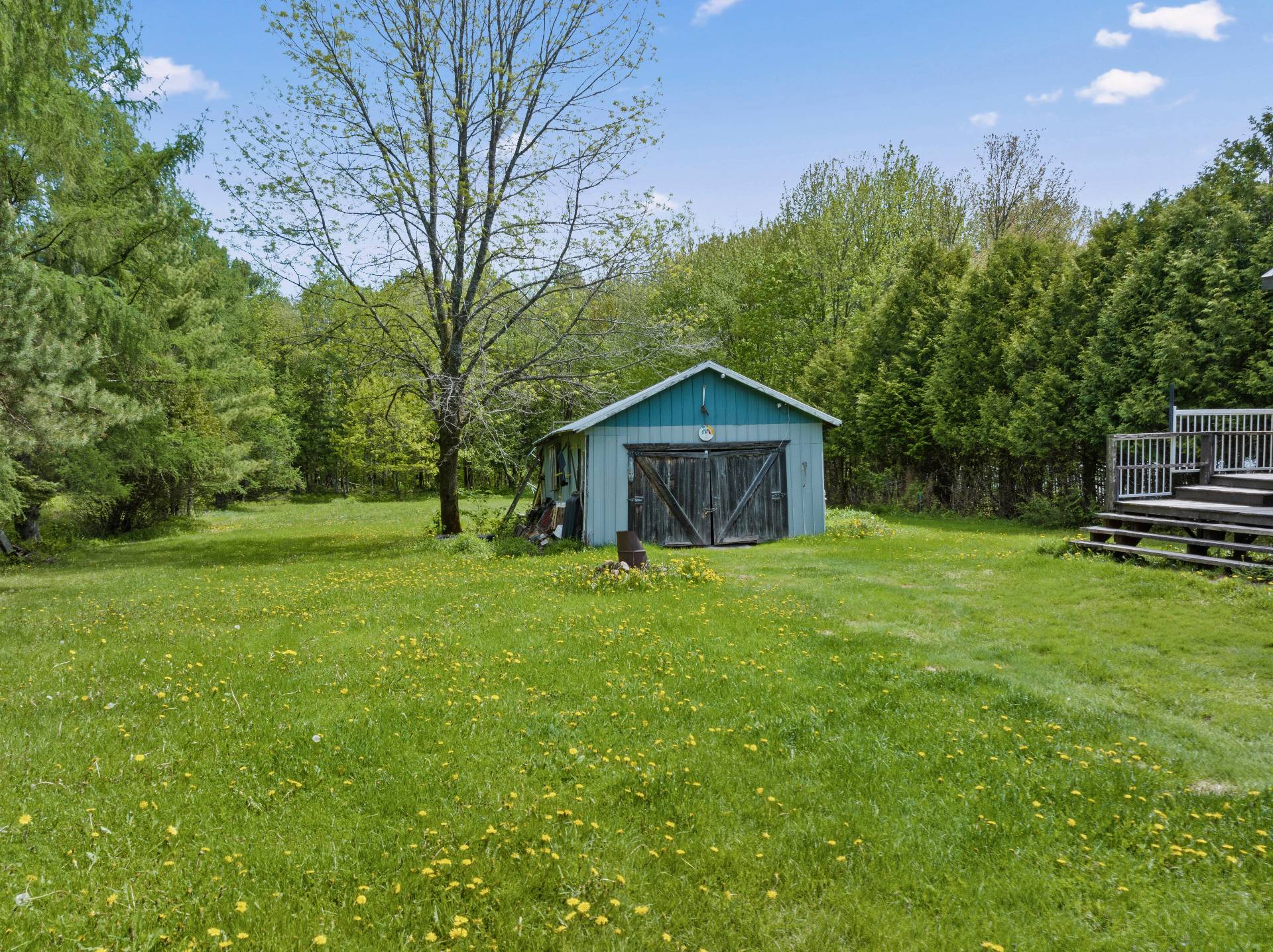 Backyard