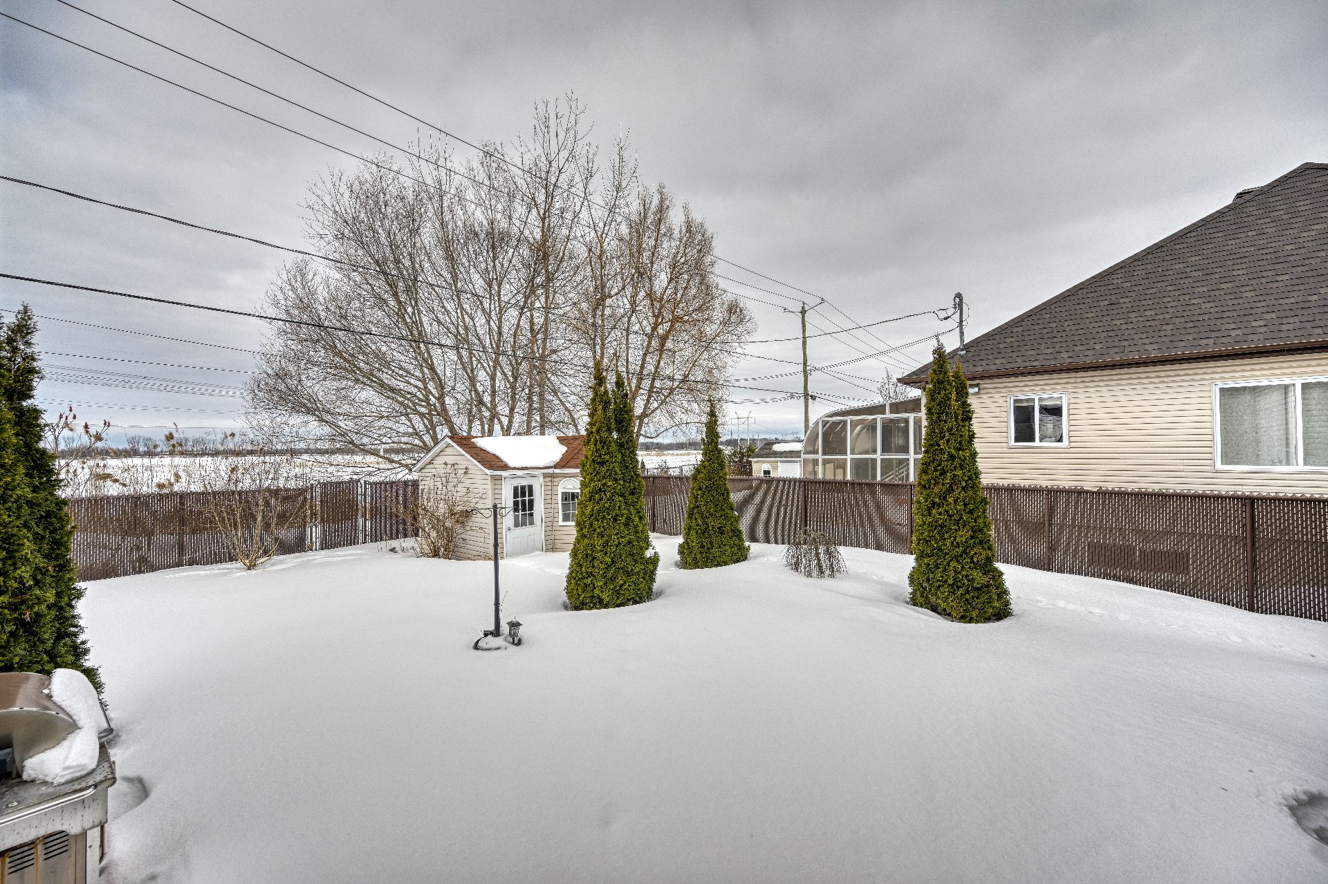 Backyard