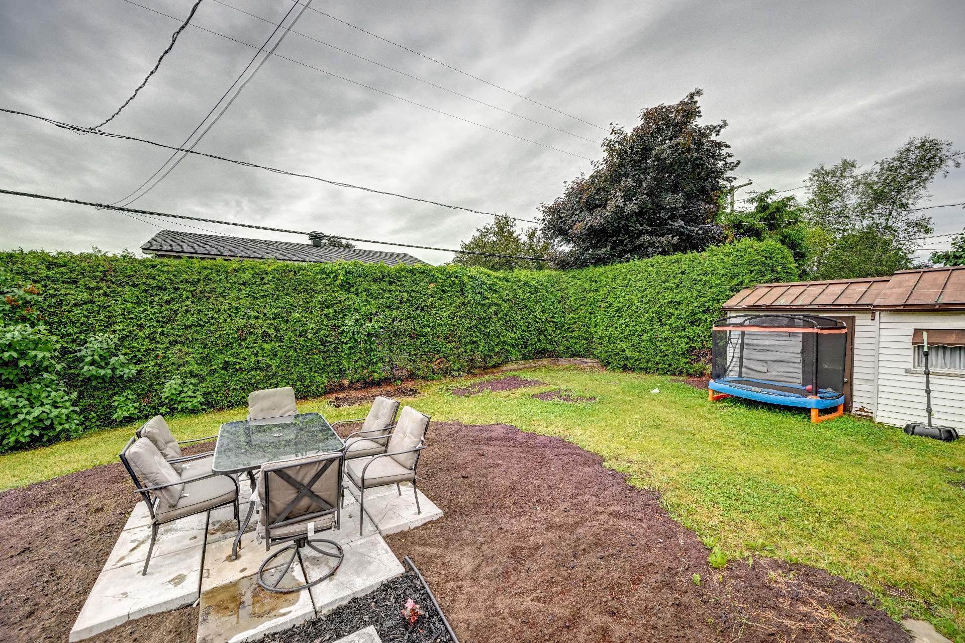 Backyard