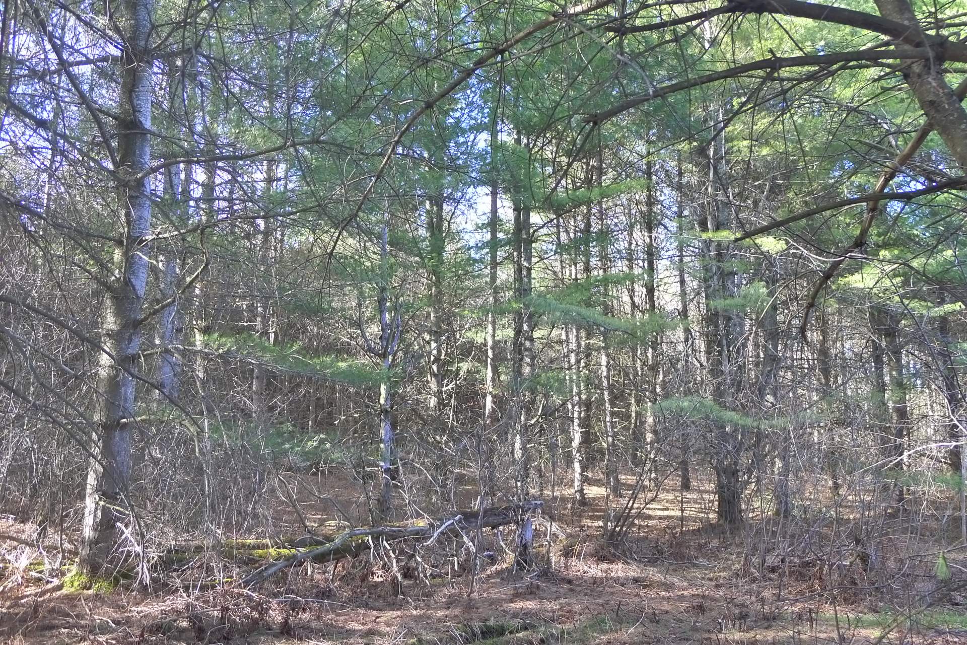 Land/Lot