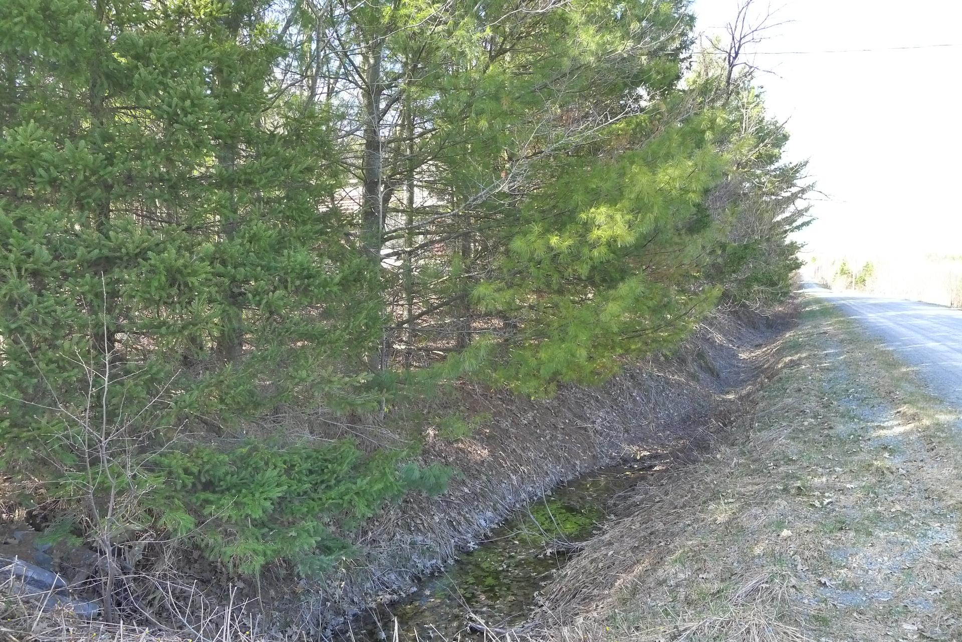 Land/Lot
