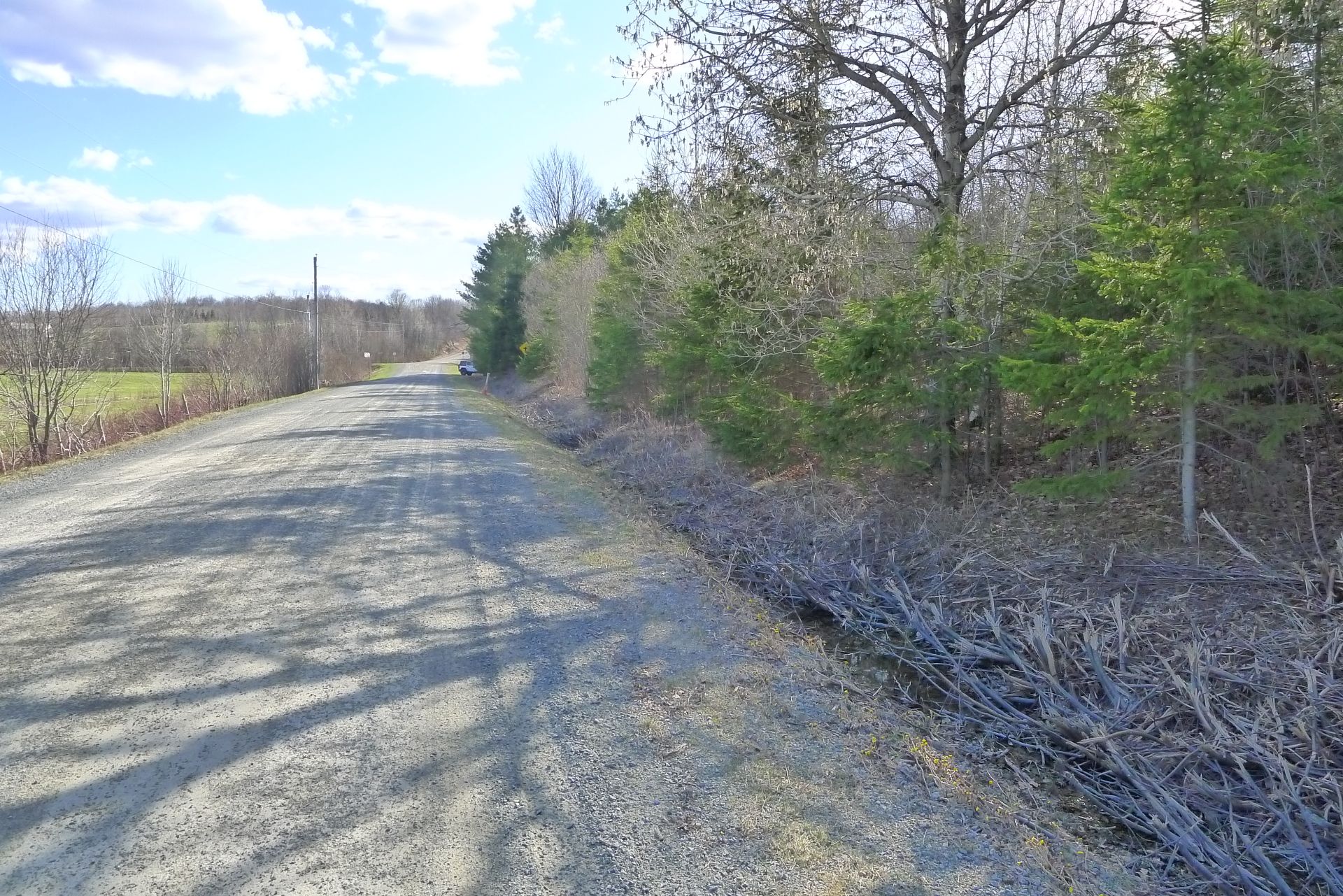 Land/Lot