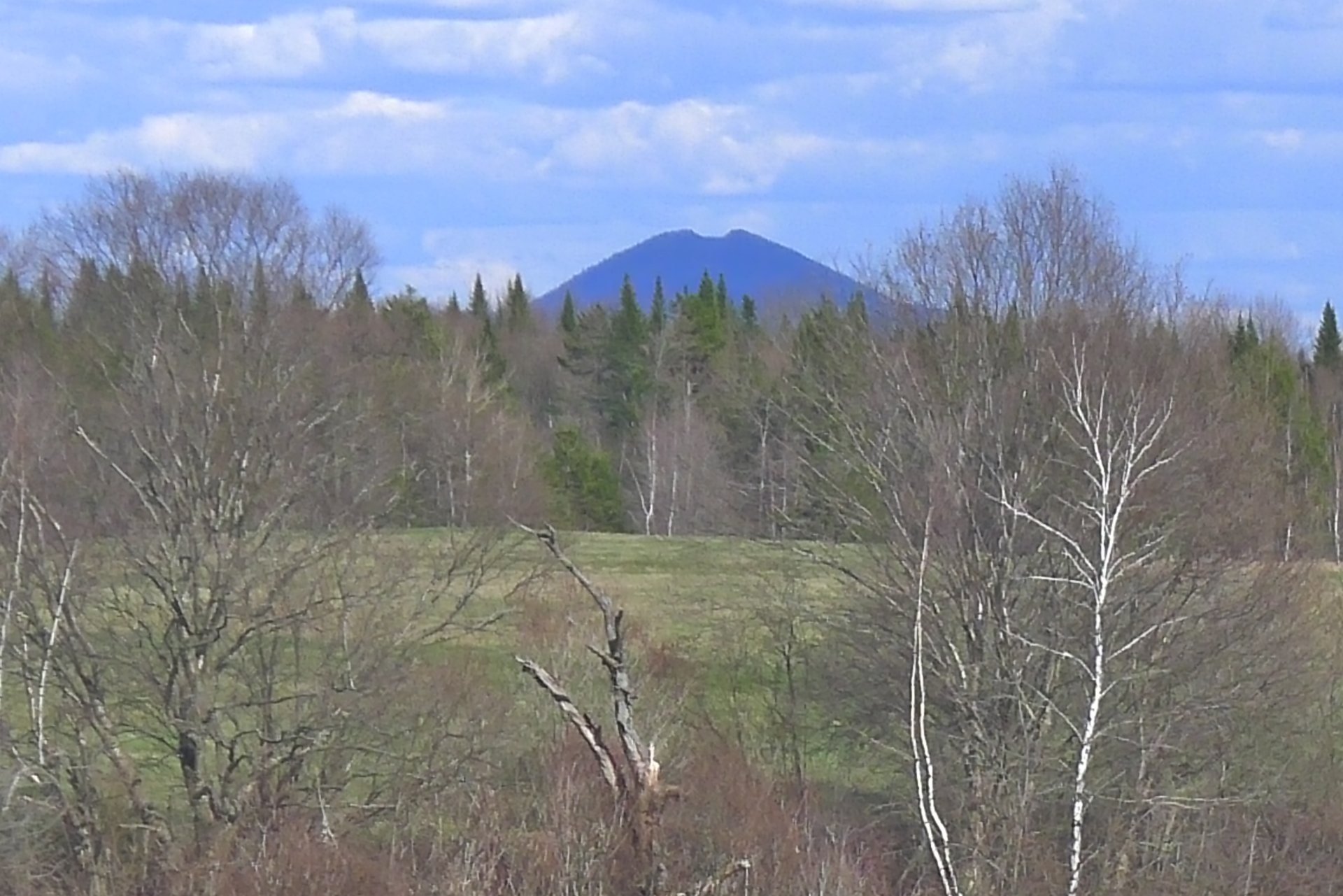 View
