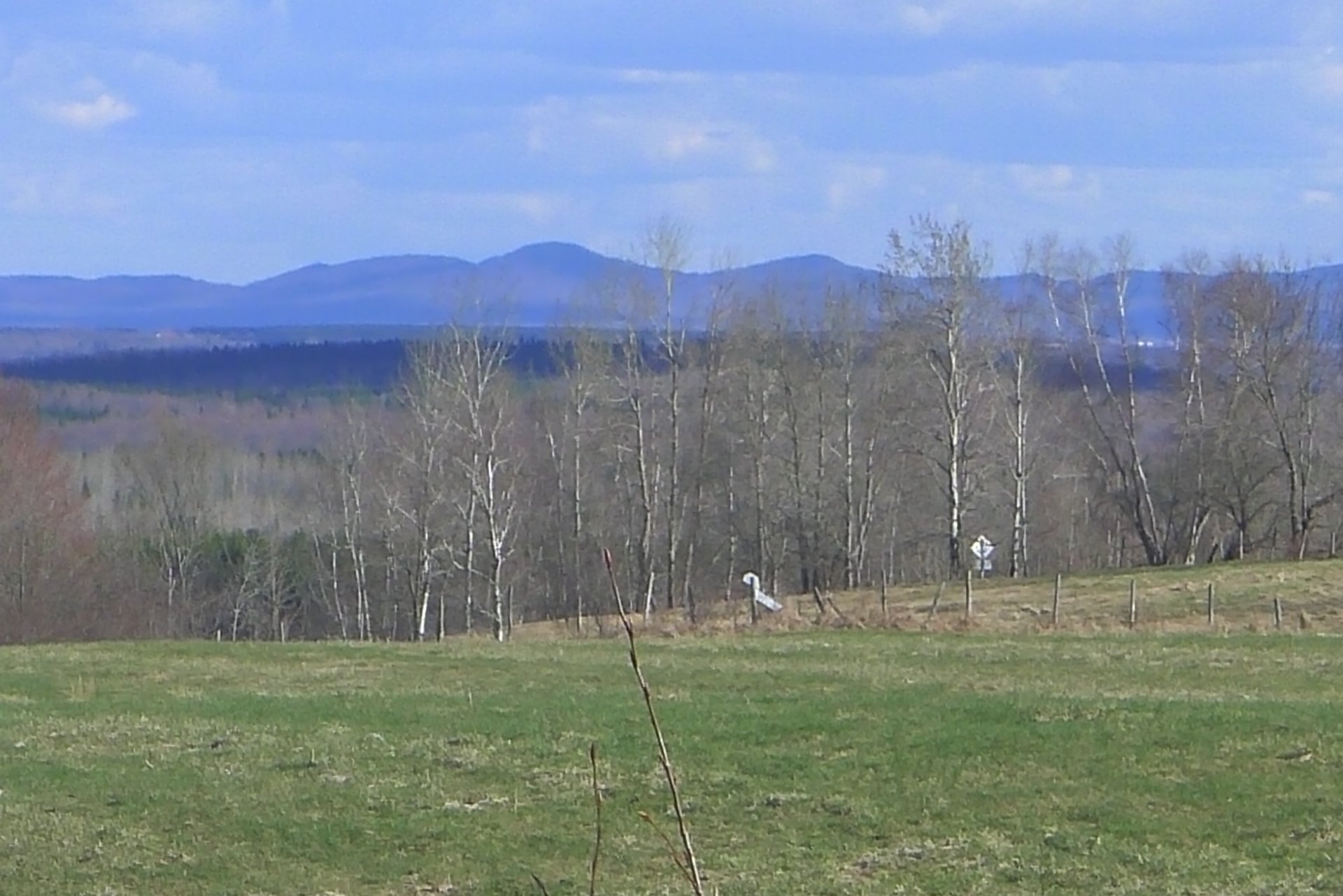 View