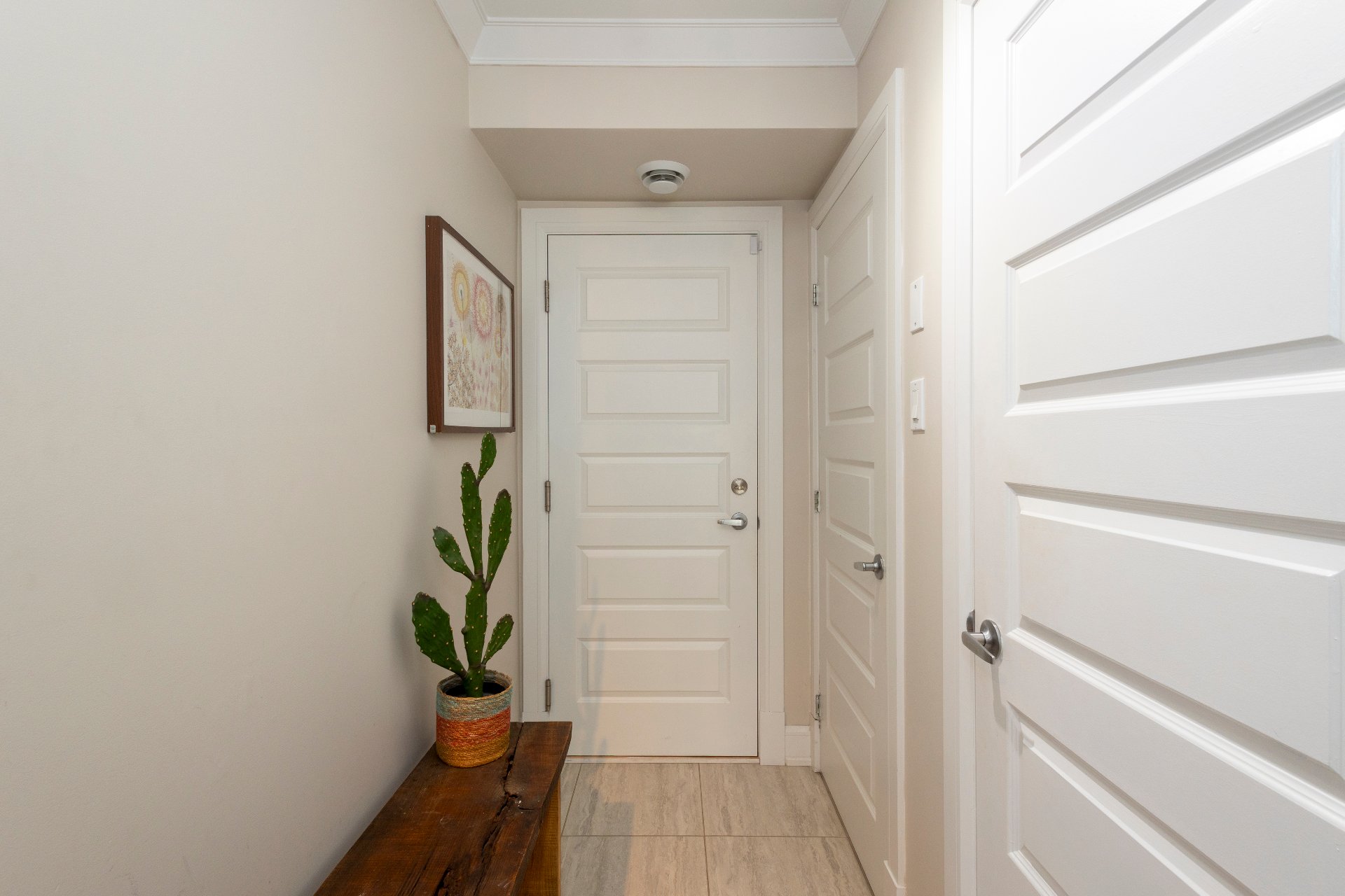 Hall d'entrée/Vestibule