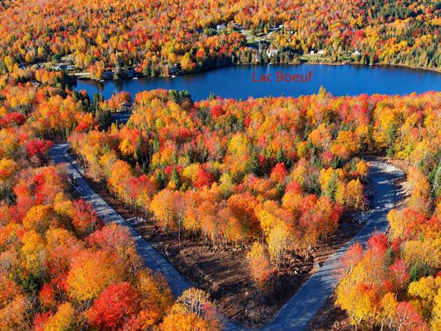 Overall View