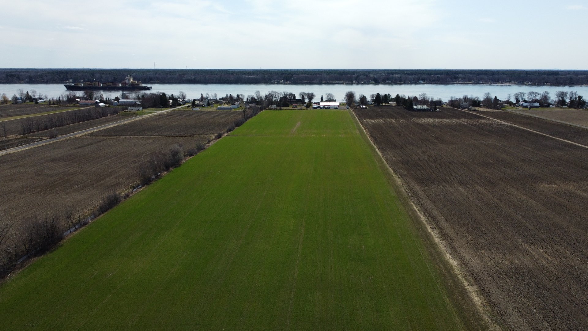 Overall View