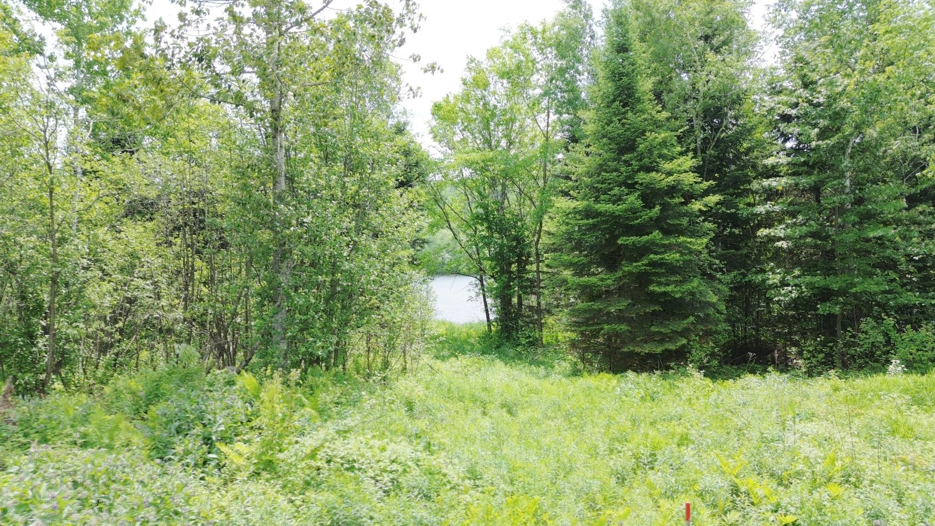 Wooded area