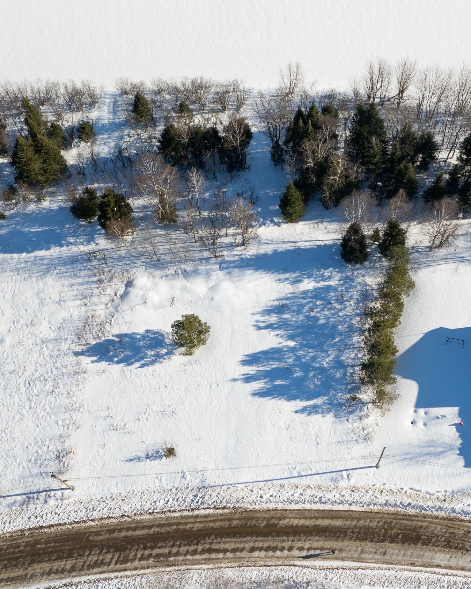 Aerial photo