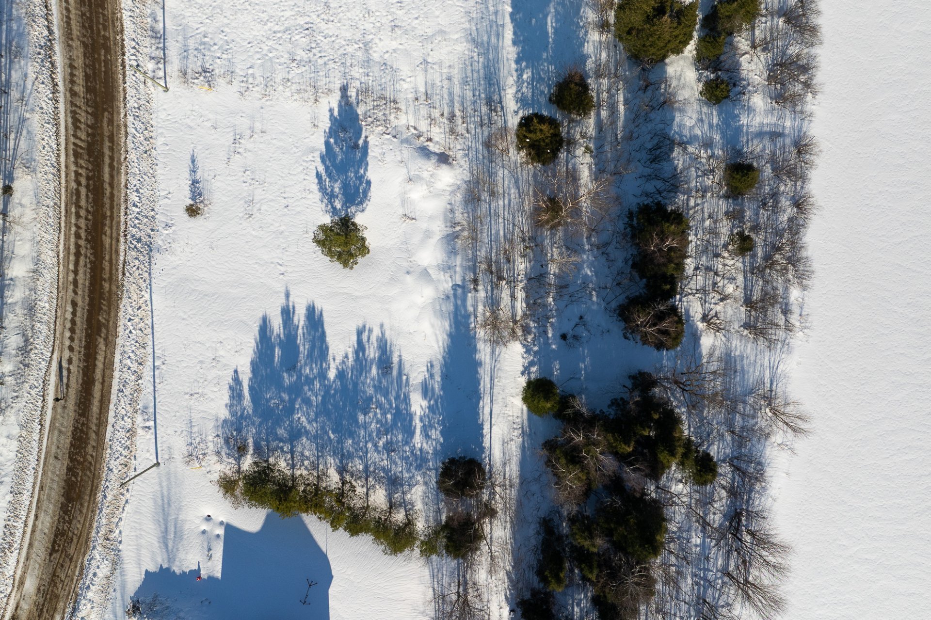 Aerial photo