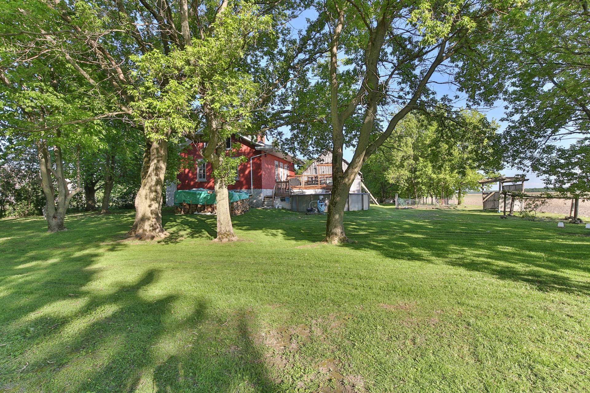 Backyard