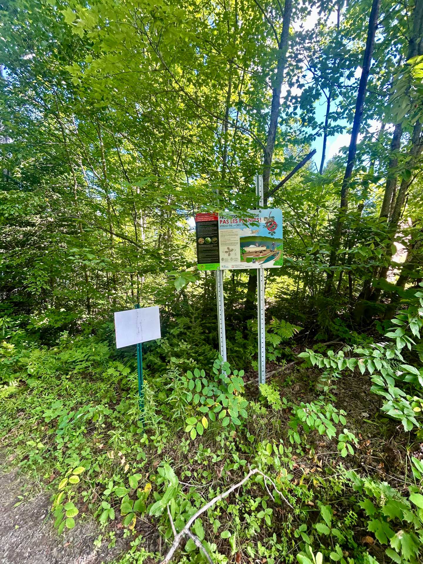 Accès au plan d'eau