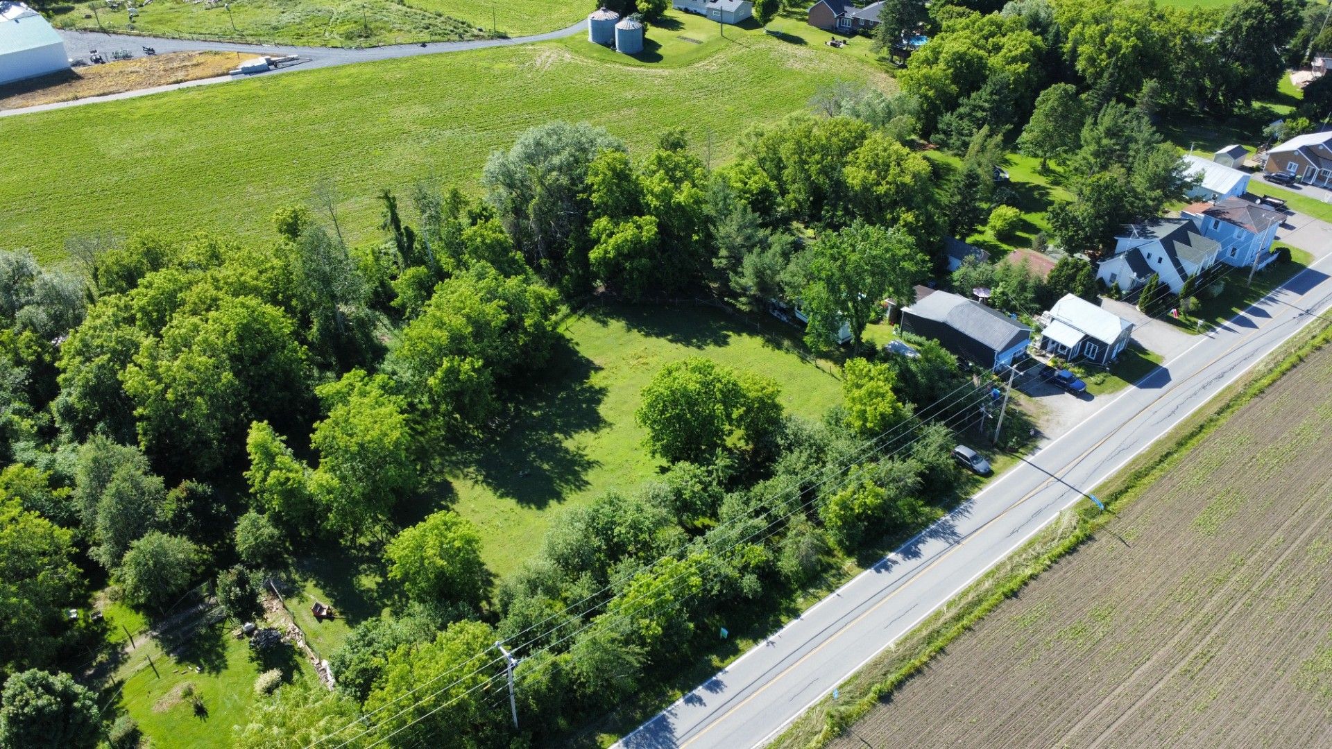 Overall View