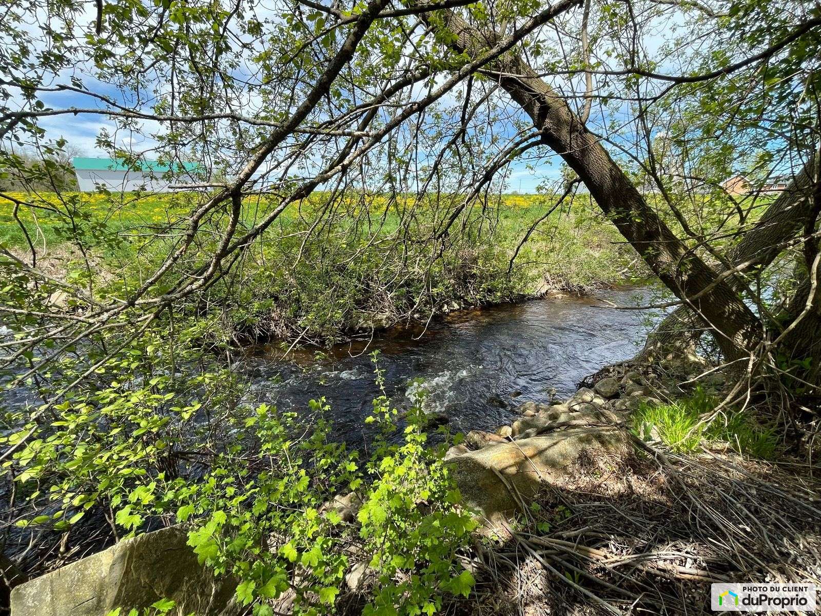 Land/Lot