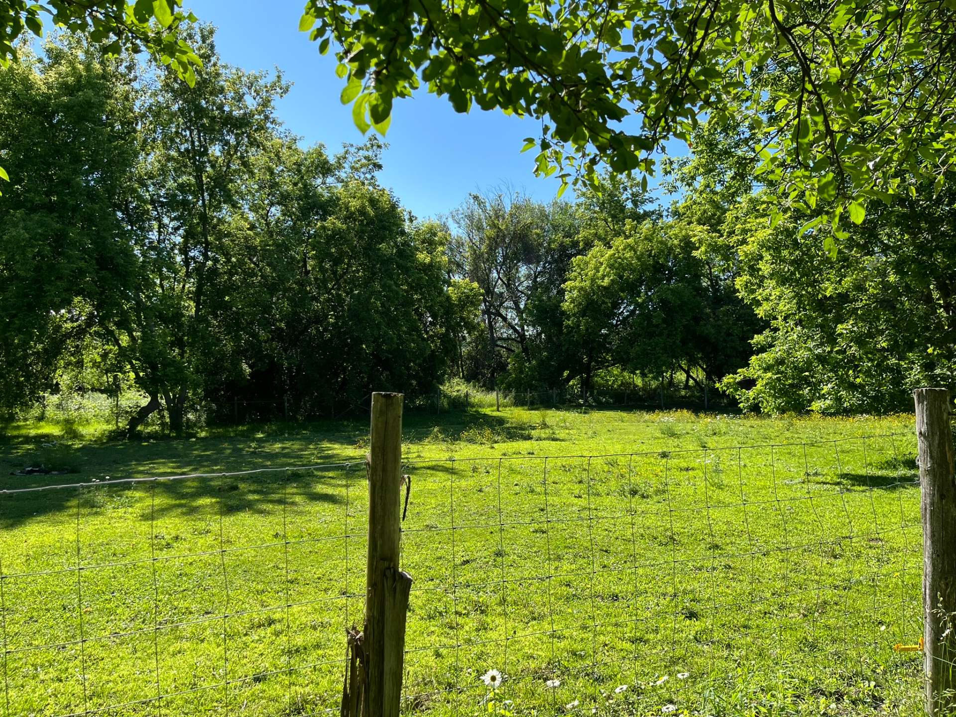 Land/Lot