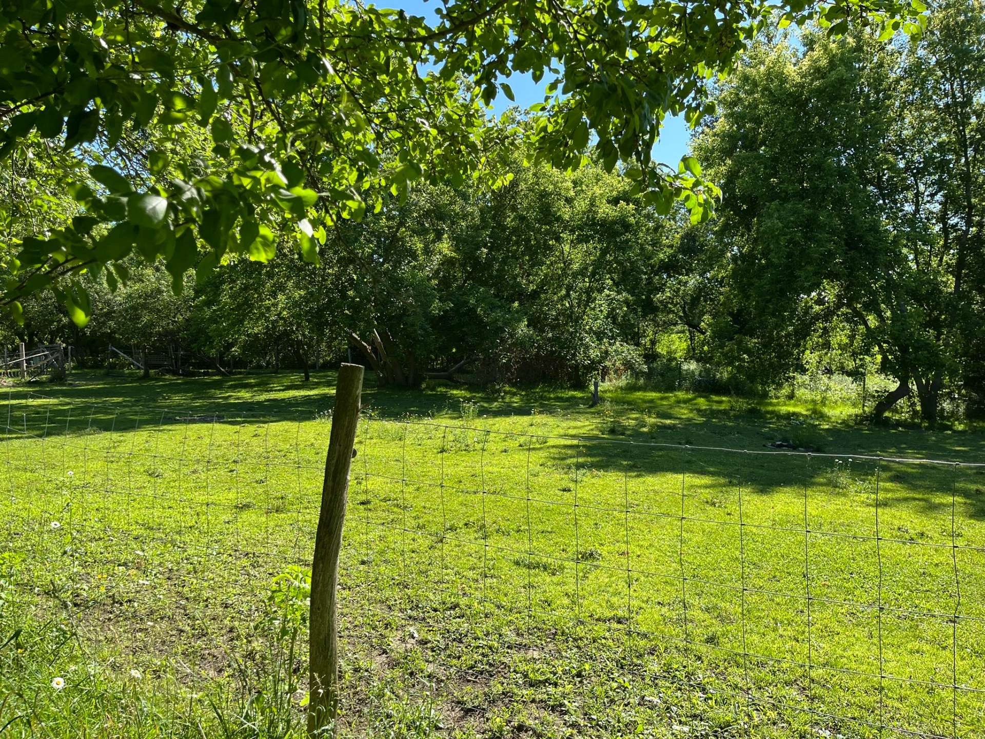 Land/Lot