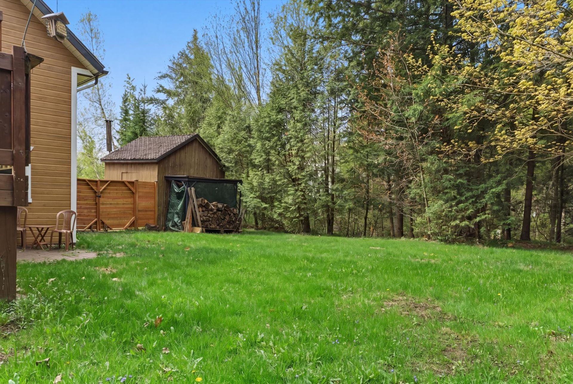 Backyard
