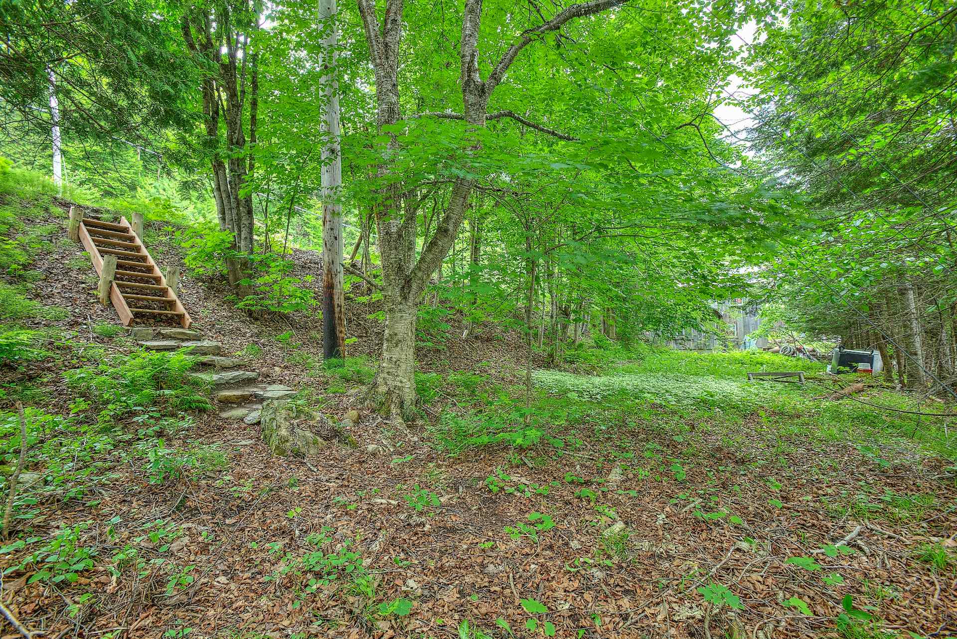 Accès au plan d'eau
