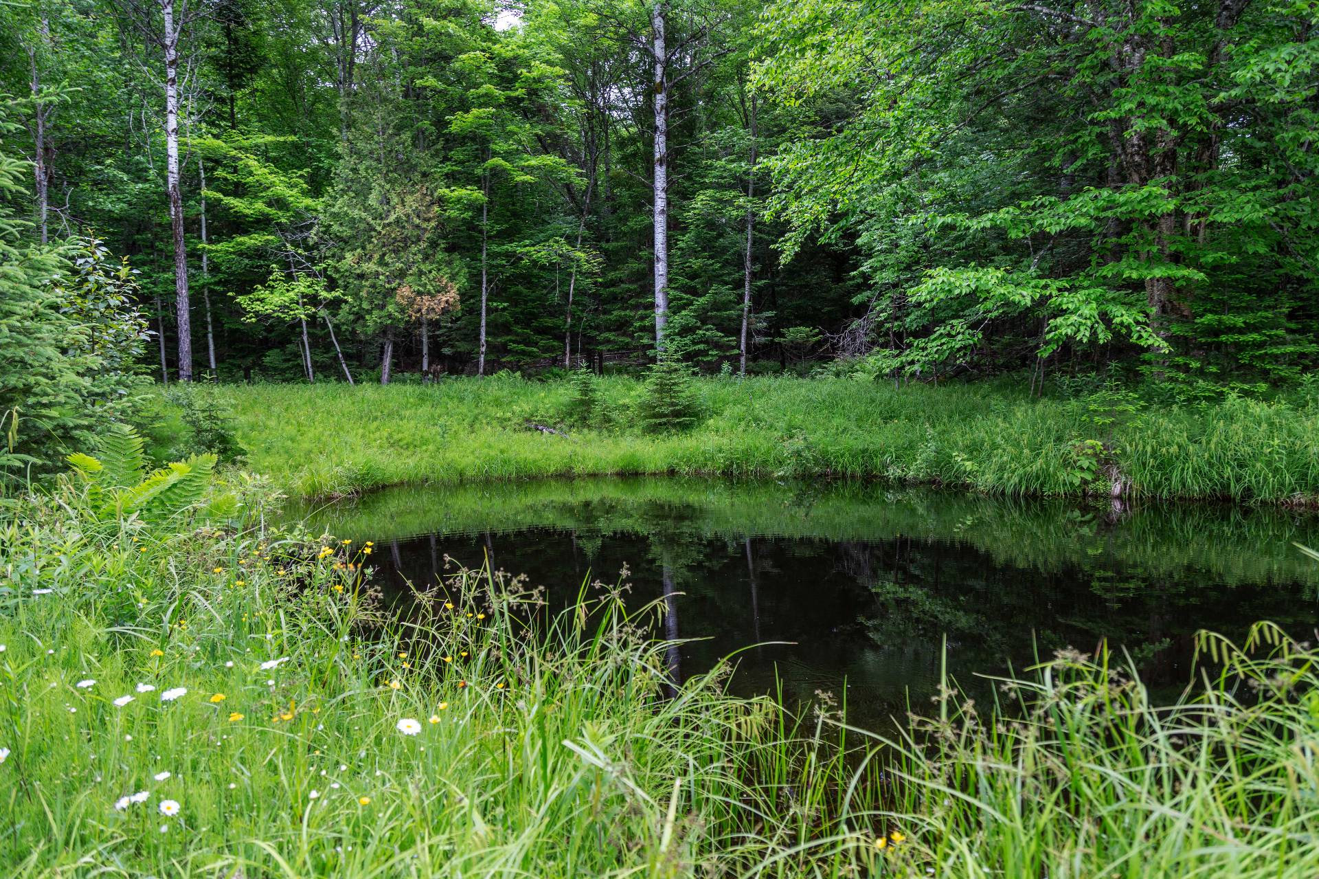 Accès au plan d'eau