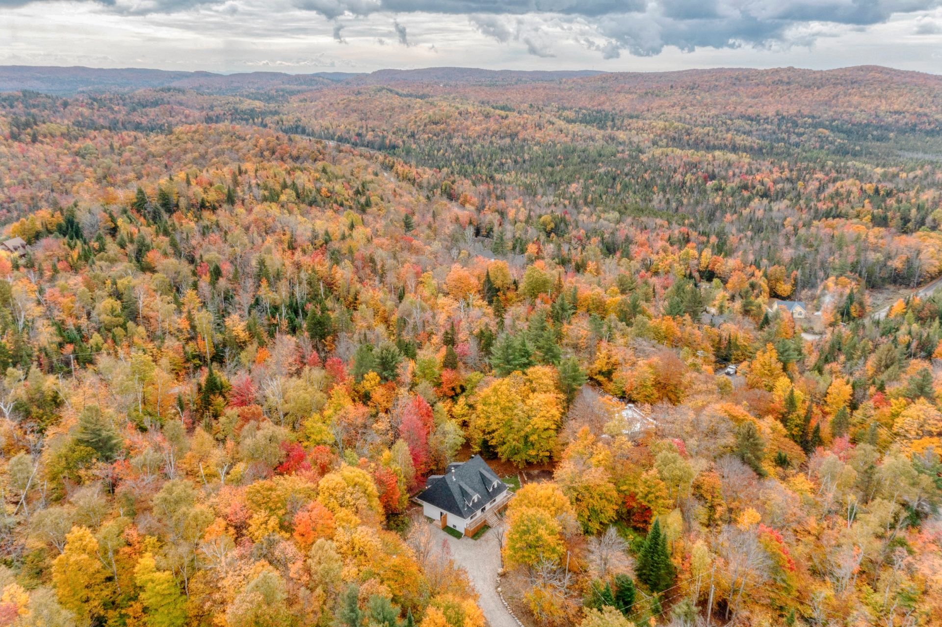 Aerial photo
