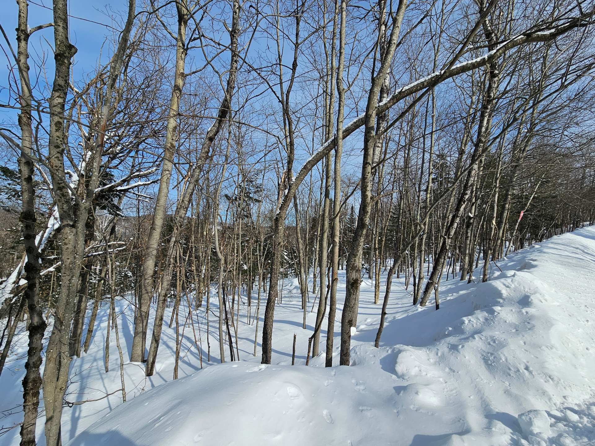 Terre/Terrain