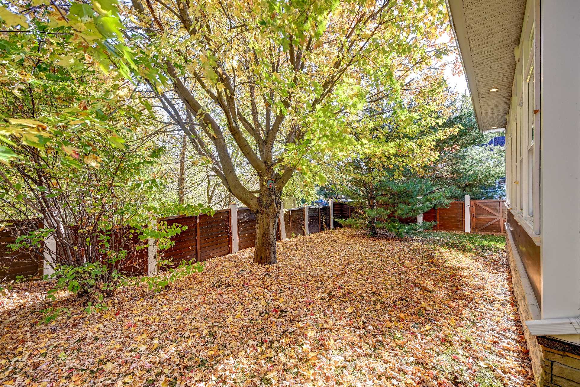 Côté sud de la maison