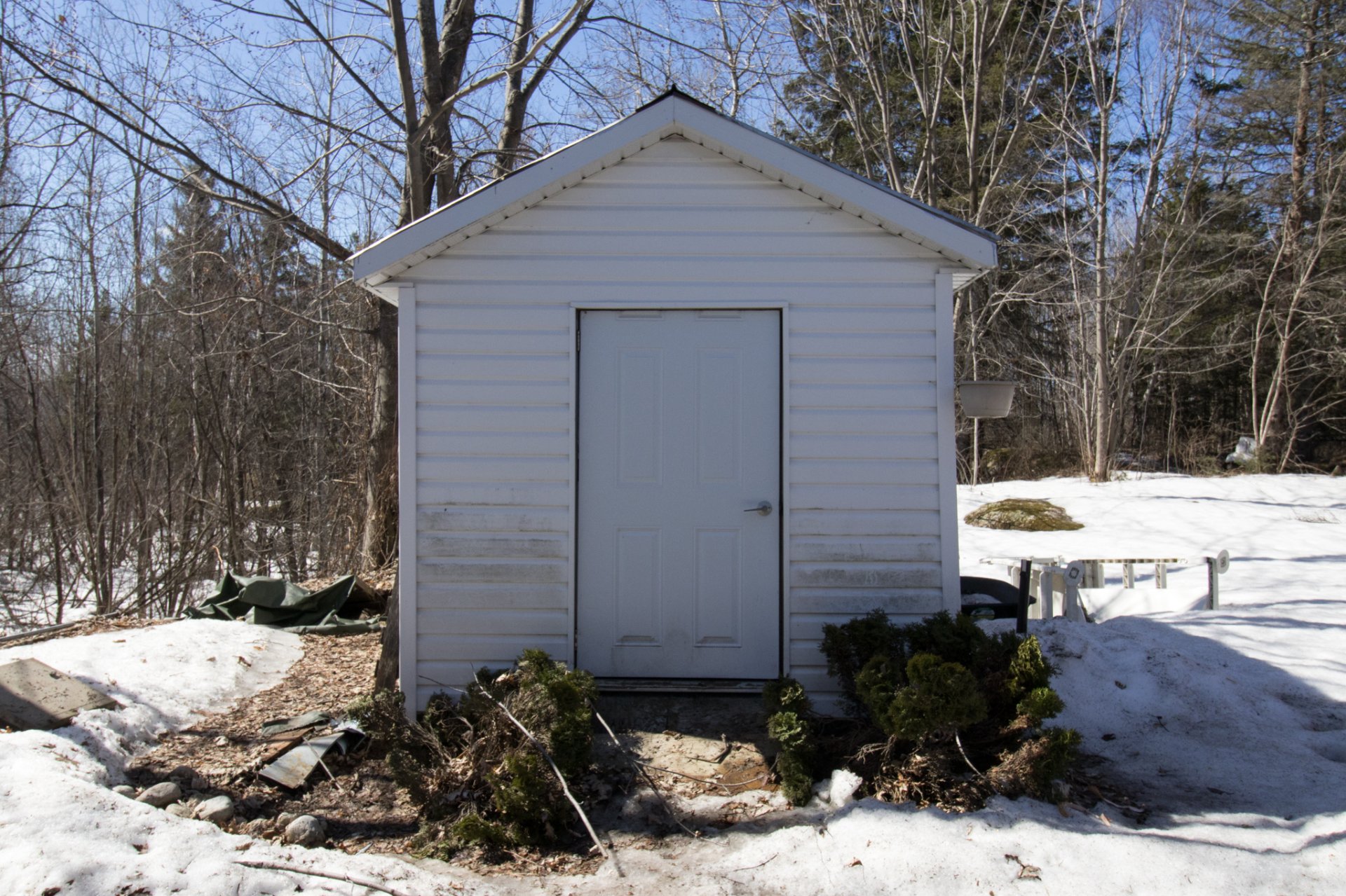 Shed