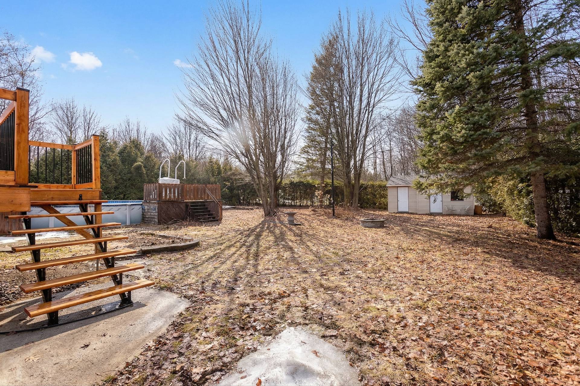 Backyard