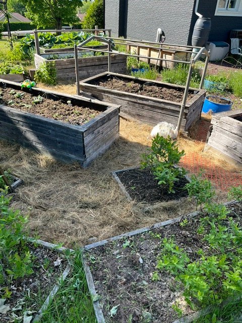 Jardin