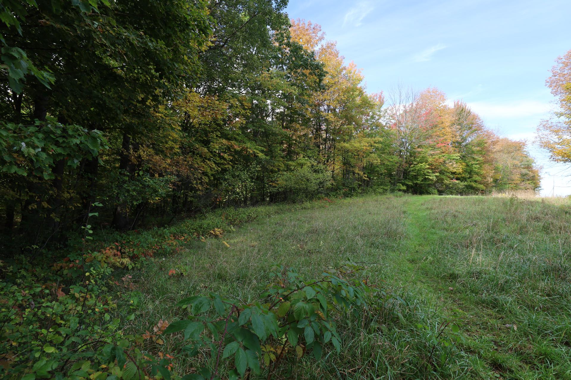 481, Route 243 — photo 3