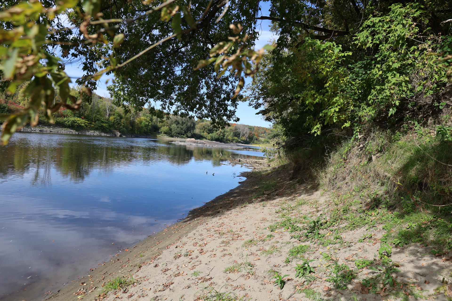 Bord de l'eau
