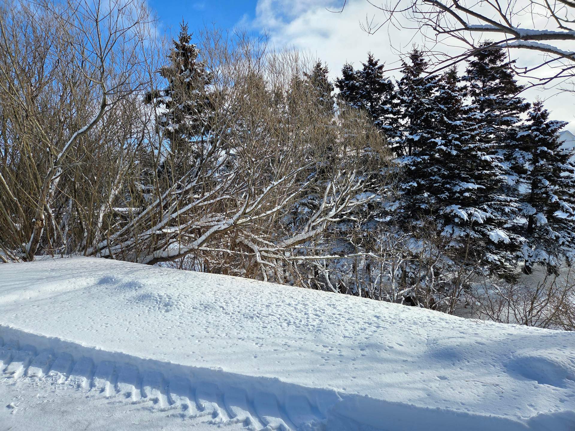 Terre/Terrain