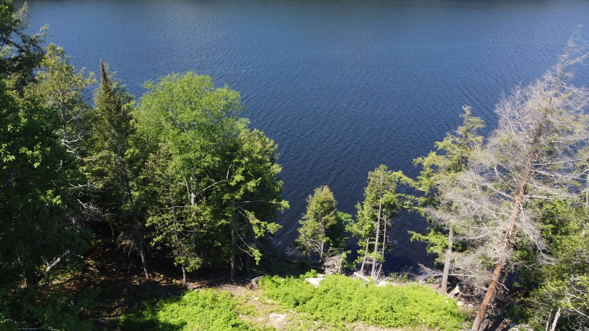 Vue sur l'eau